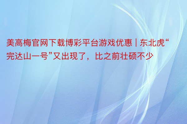 美高梅官网下载博彩平台游戏优惠 | 东北虎“完达山一号”又出现了，比之前壮硕不少