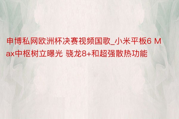 申博私网欧洲杯决赛视频国歌_小米平板6 Max中枢树立曝光 骁龙8+和超强散热功能