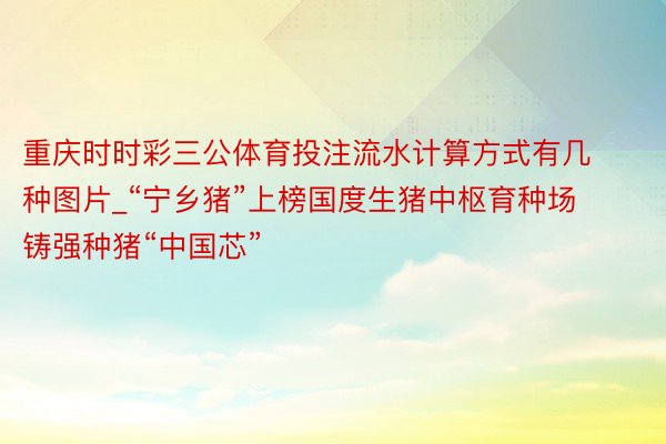 重庆时时彩三公体育投注流水计算方式有几种图片_“宁乡猪”上榜国度生猪中枢育种场 铸强种猪“中国芯”